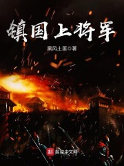 镇国上将军