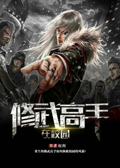 修武高手在校园