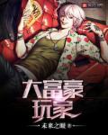 大富豪玩家