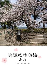 追逐心中的缺