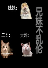 兄妹不乱伦