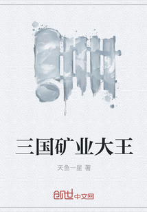 三国矿业大王