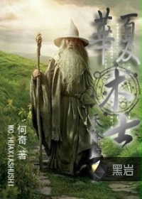 华夏术士之天降圣童