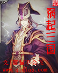 祸起三国
