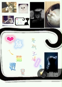 心恋之猫灵星