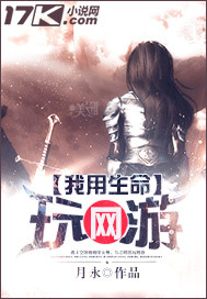 我用生命玩网游