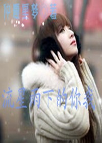 流星雨下的你我