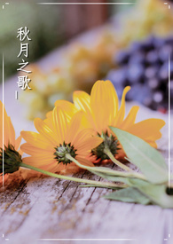 秋月之歌—同人／原创集散
