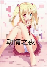 动情之夜（h）