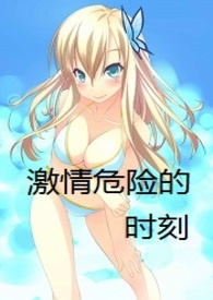 激情危险的时刻（h）