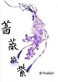 蔷薇微紫 (NP)