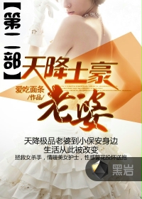 天降土豪老婆Ⅱ