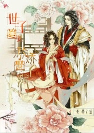 世子追妻；傲娇世子妃