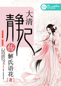 大清静妃传