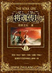 将魂传