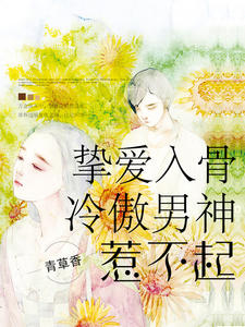 挚爱入骨，冷傲男神惹不起