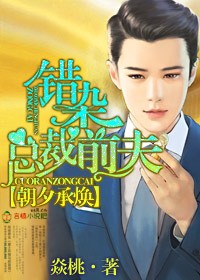 朝夕承焕，错染总裁前夫