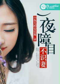 一夜障目不识妻