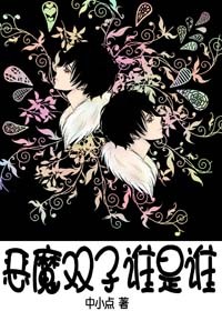 恶魔双子谁是谁