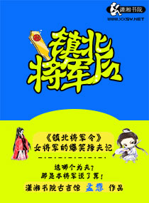 镇北将军令