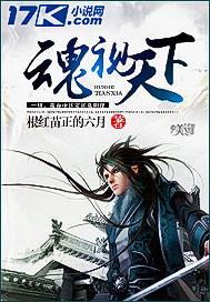 魂视天下