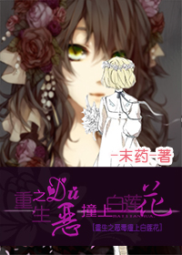 重生之恶毒撞上白莲花
