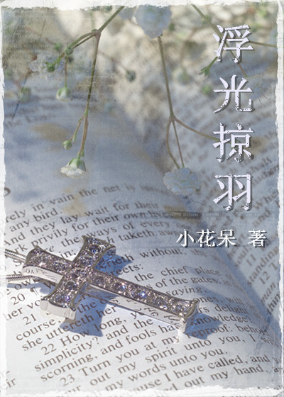浮光掠羽