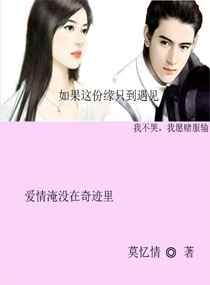爱情淹没在奇迹里