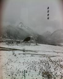 基因密码