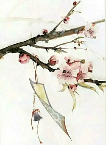 时雨