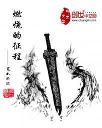 燃烧的征程