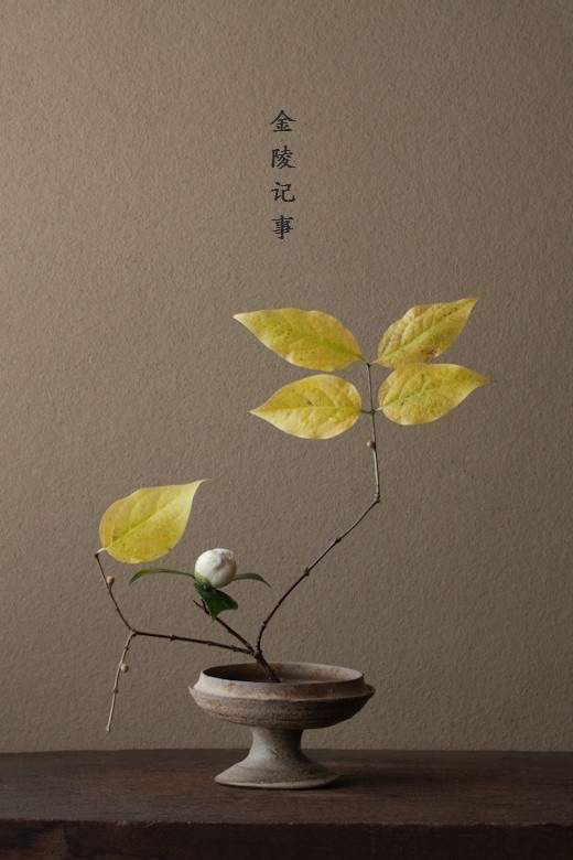 金陵记事