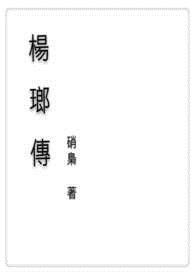 《杨琅传》