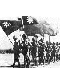 铁血国军复中华