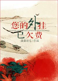 您的外挂已欠费