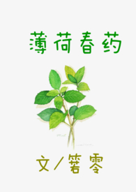 薄荷春药
