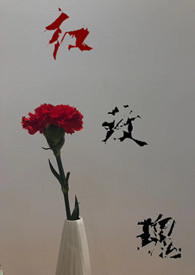红玫瑰
