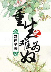 重生之难为奴