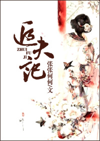追夫记