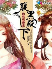 腹黑殿下的乞丐公主