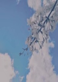 多晴转云