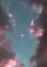 星野倾倾