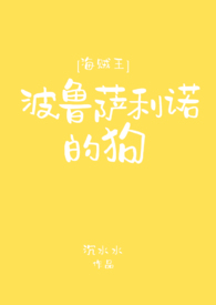 [海贼王]波鲁萨利诺的狗