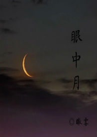 眼中月