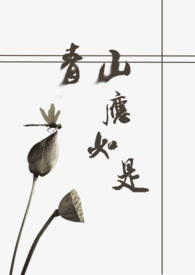 青山应如是