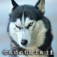 猫先生与狗先生