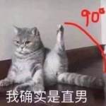 书里书外