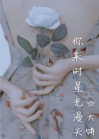 你来时星光漫天