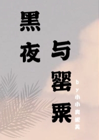 黑夜与