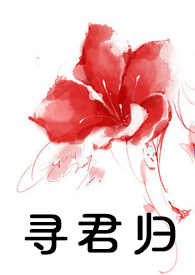 寻君归